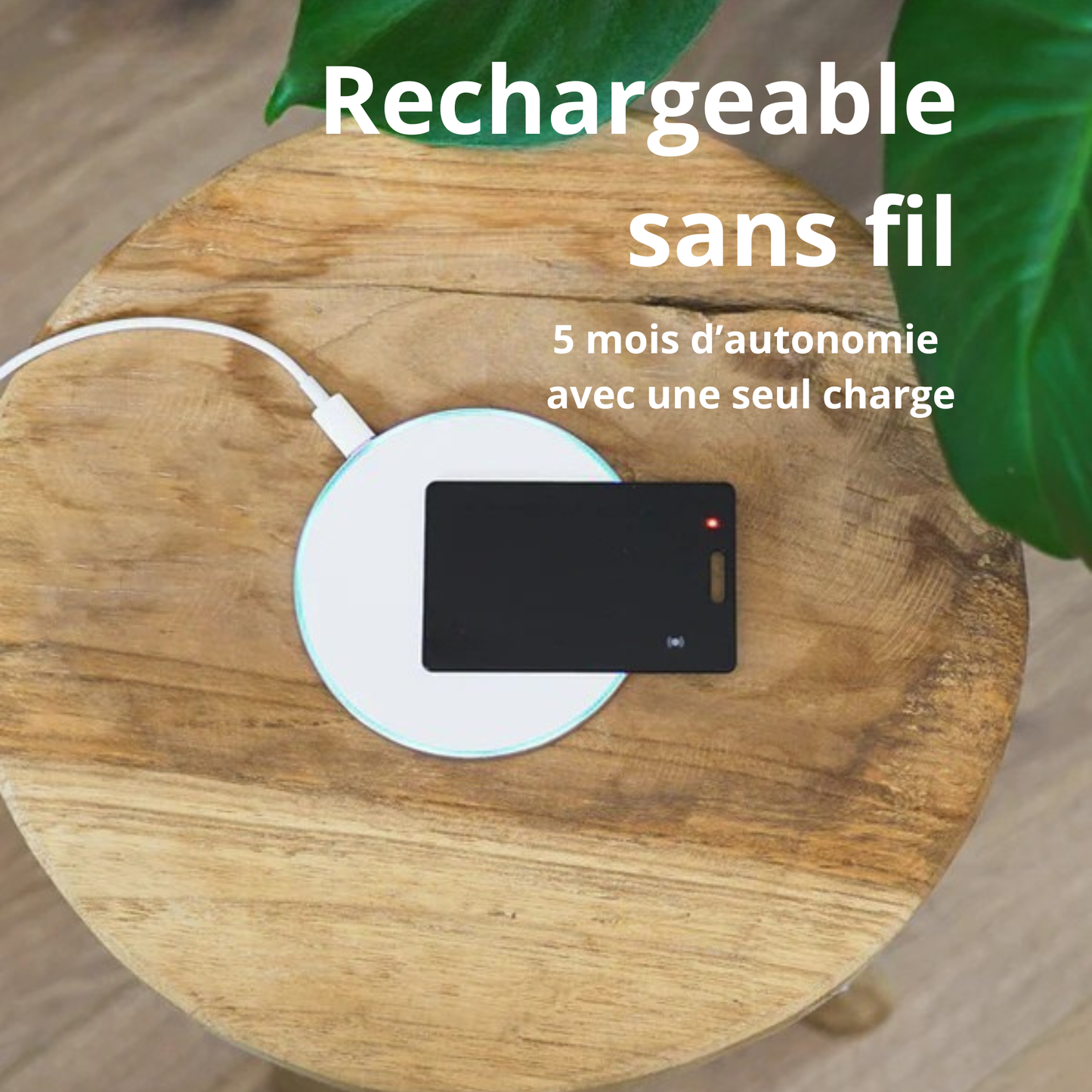 Evolvago Carte Universelle